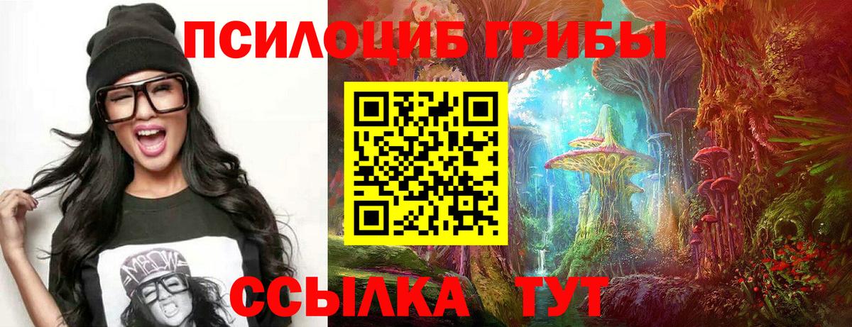 Галлюциногенные грибы Psilocybe  сколько стоит  Озёрск  Вход с VPN 